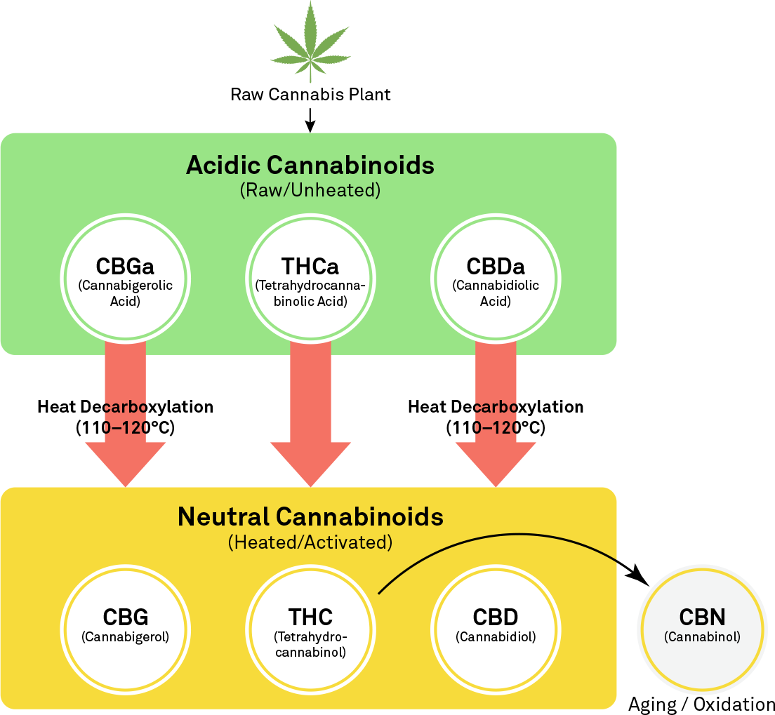 Activation pathway infographic